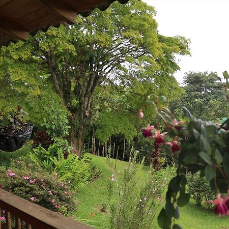 Finca Chalet La Tawa Севилья Экстерьер фото