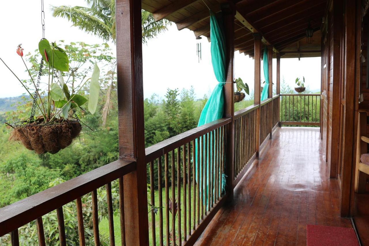 Finca Chalet La Tawa Севилья Экстерьер фото
